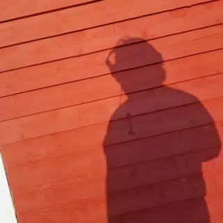 the fencesitters avatar