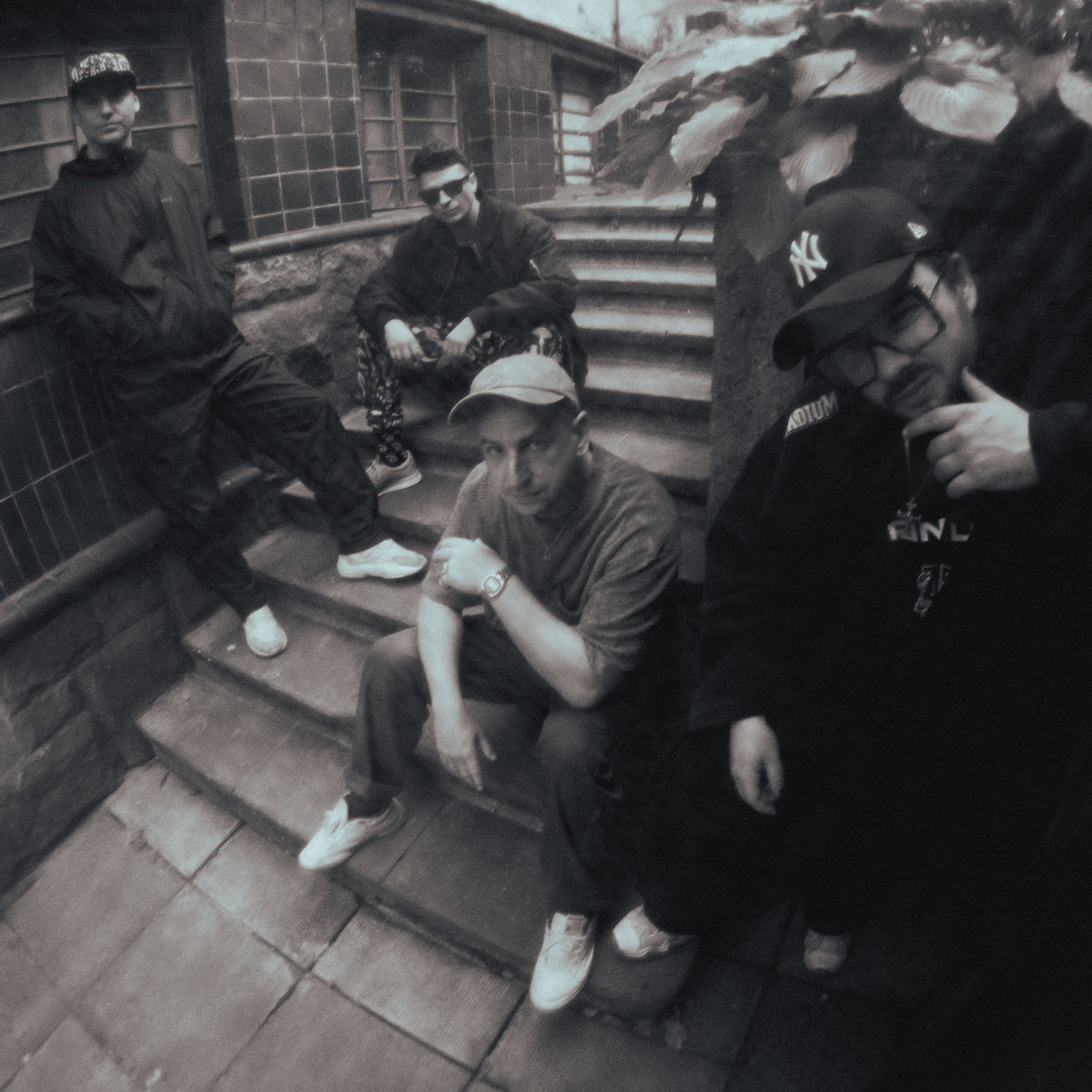 Błoto + Ion D