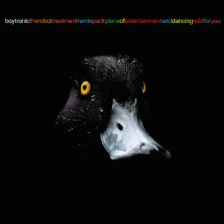 Boytronic avatar