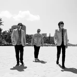 the Mountain Goats avatar