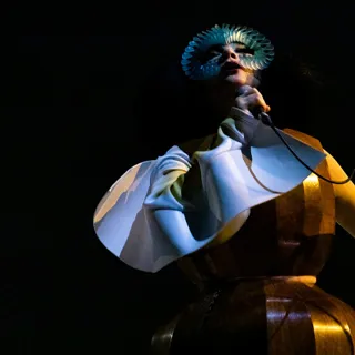 björk avatar