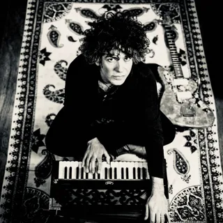 Kavus Torabi avatar