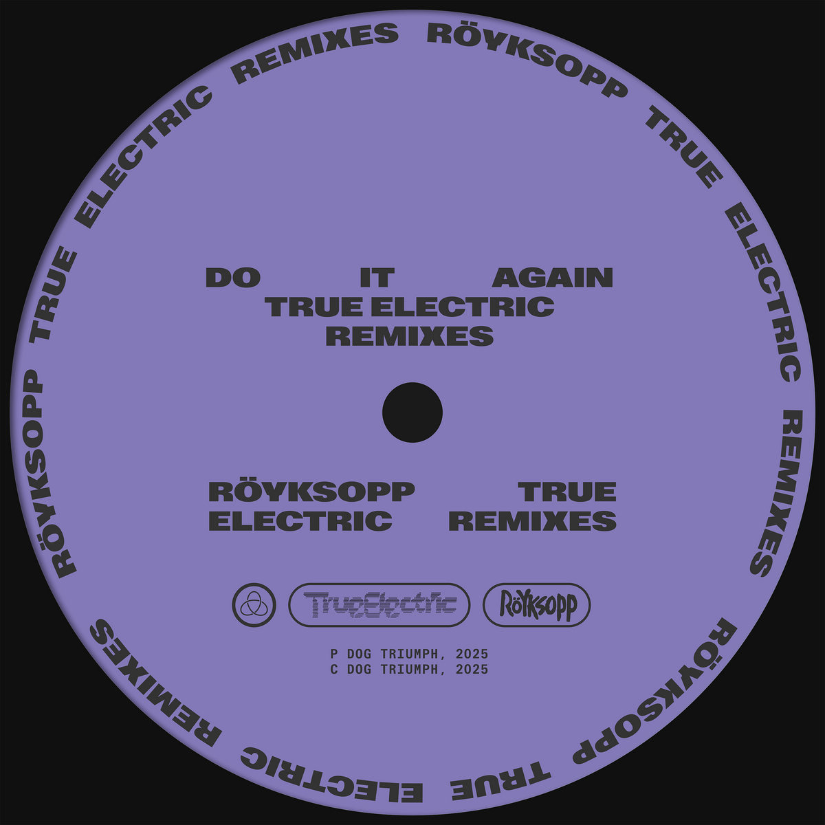 Do It Again [True Electric Remixes] cover art