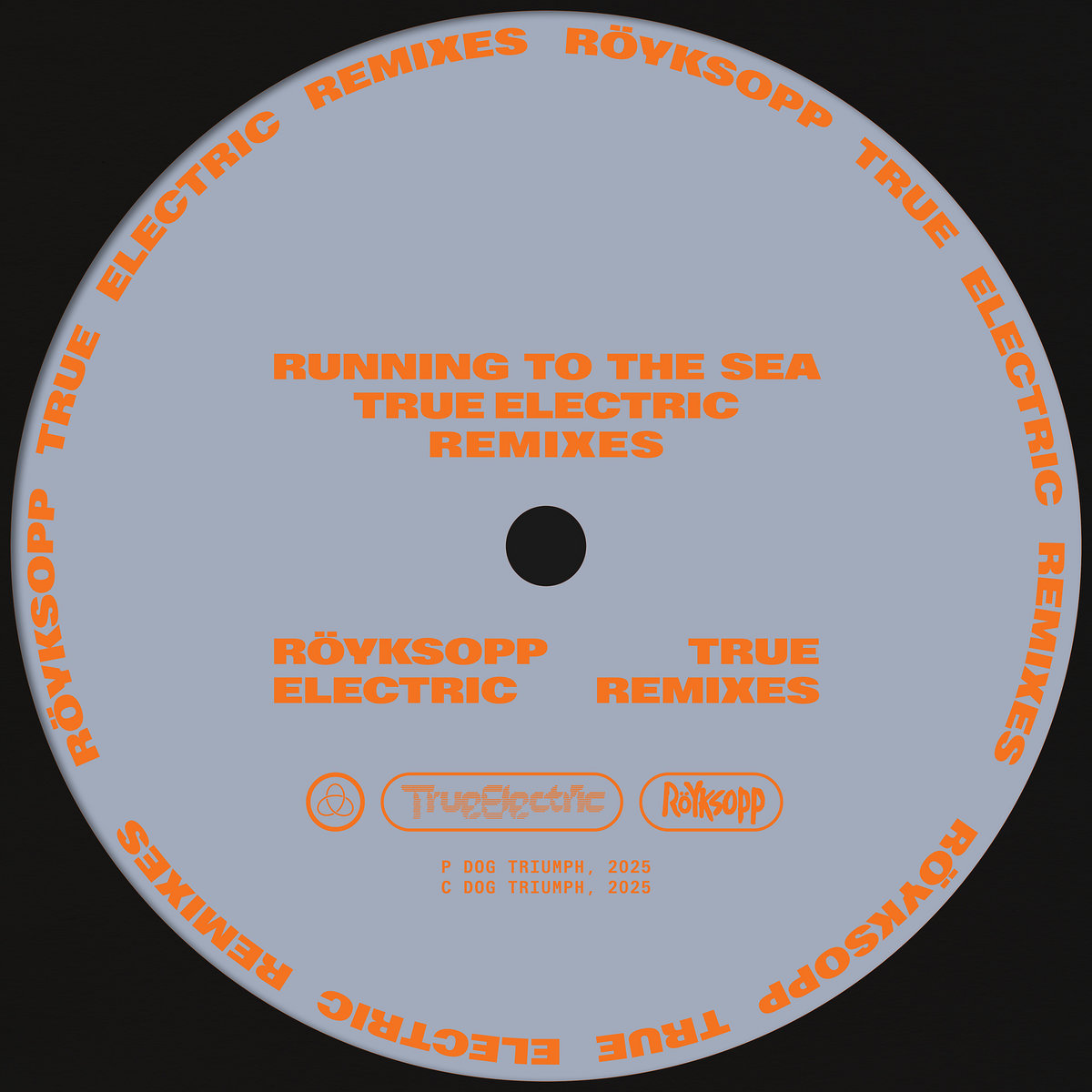Running to the Sea (True Electric) Remixes cover art