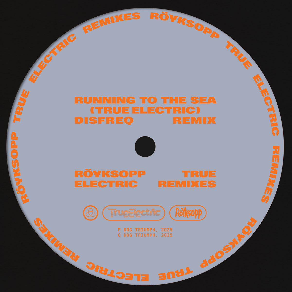 'Running to the Sea' ft. Susanne Sundfør (True Electric) [Disfreq Remix] cover art