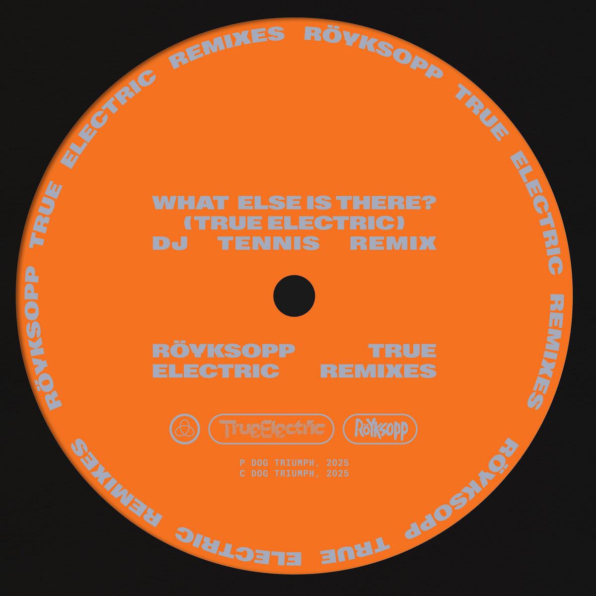 What Else Is There? (ft. Fever Ray) [True Electric] (DJ Tennis Remix) cover art