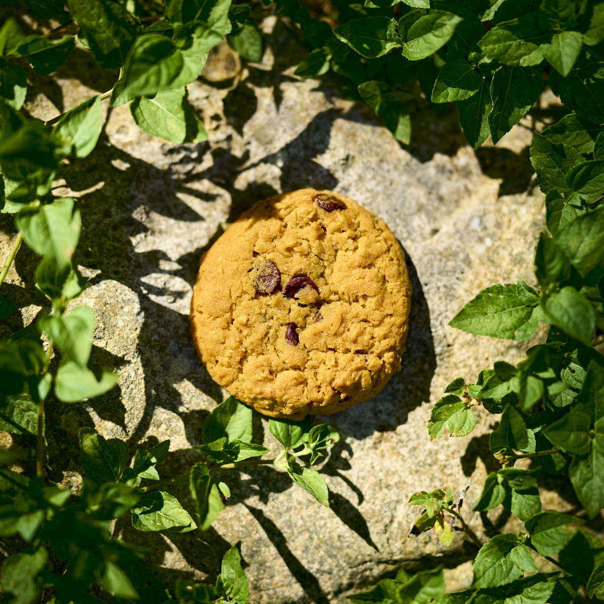 Cookie Clicker cover