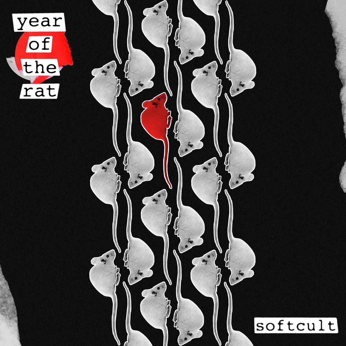 Year Of The Rat cover art