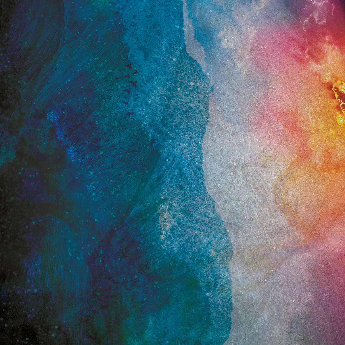 the shore from above cover