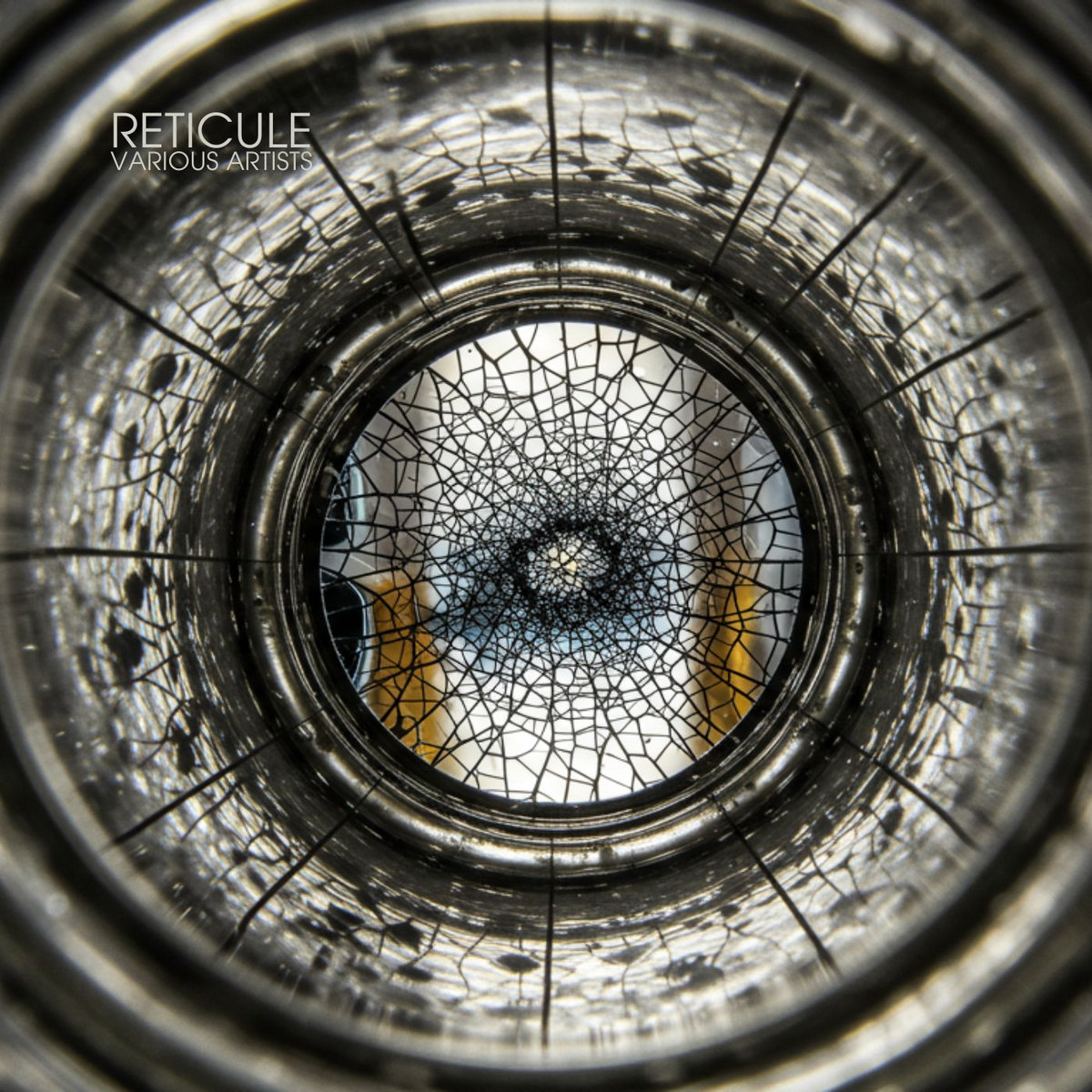 Reticule cover art