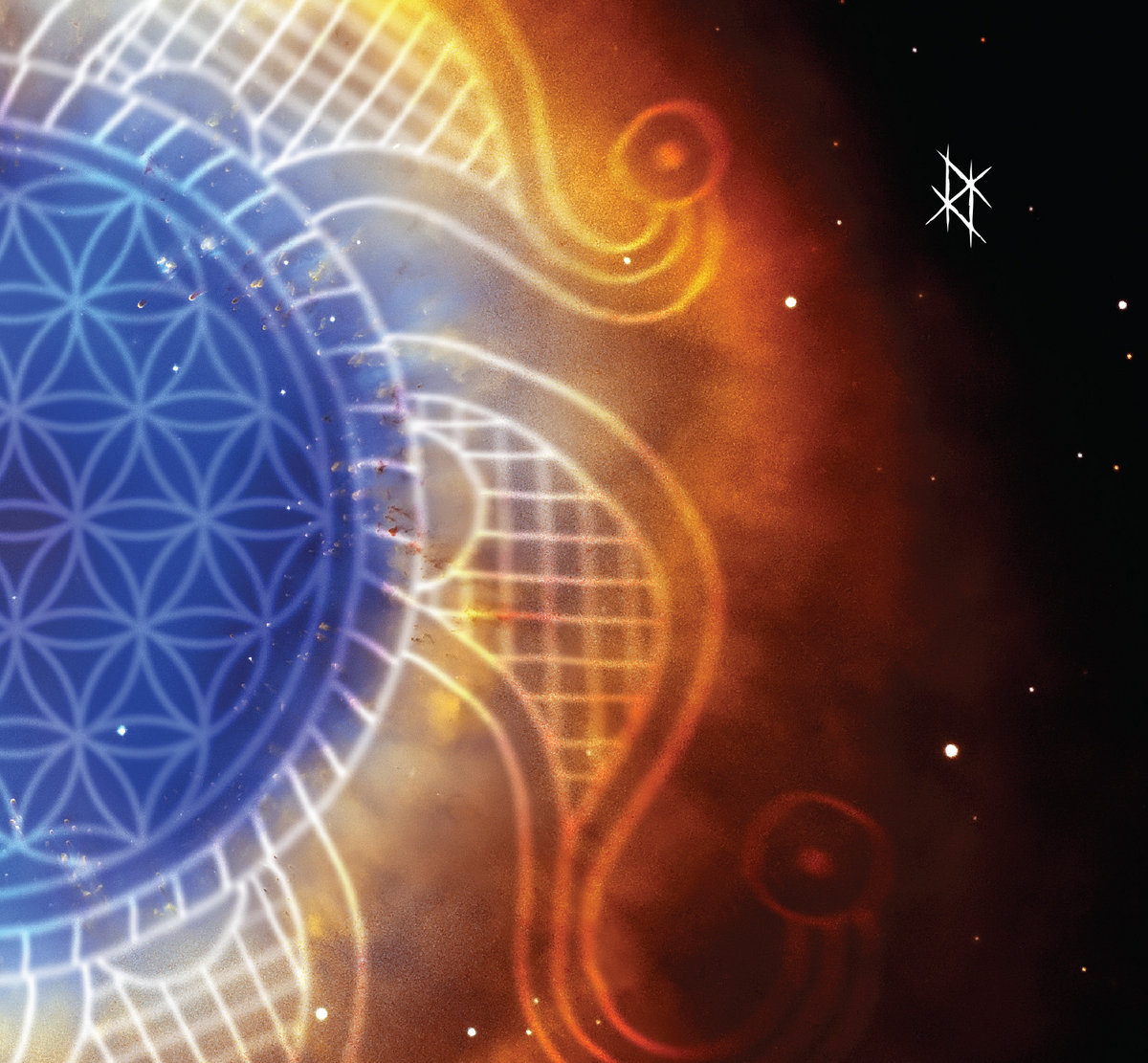 Holy Amnesia cover art