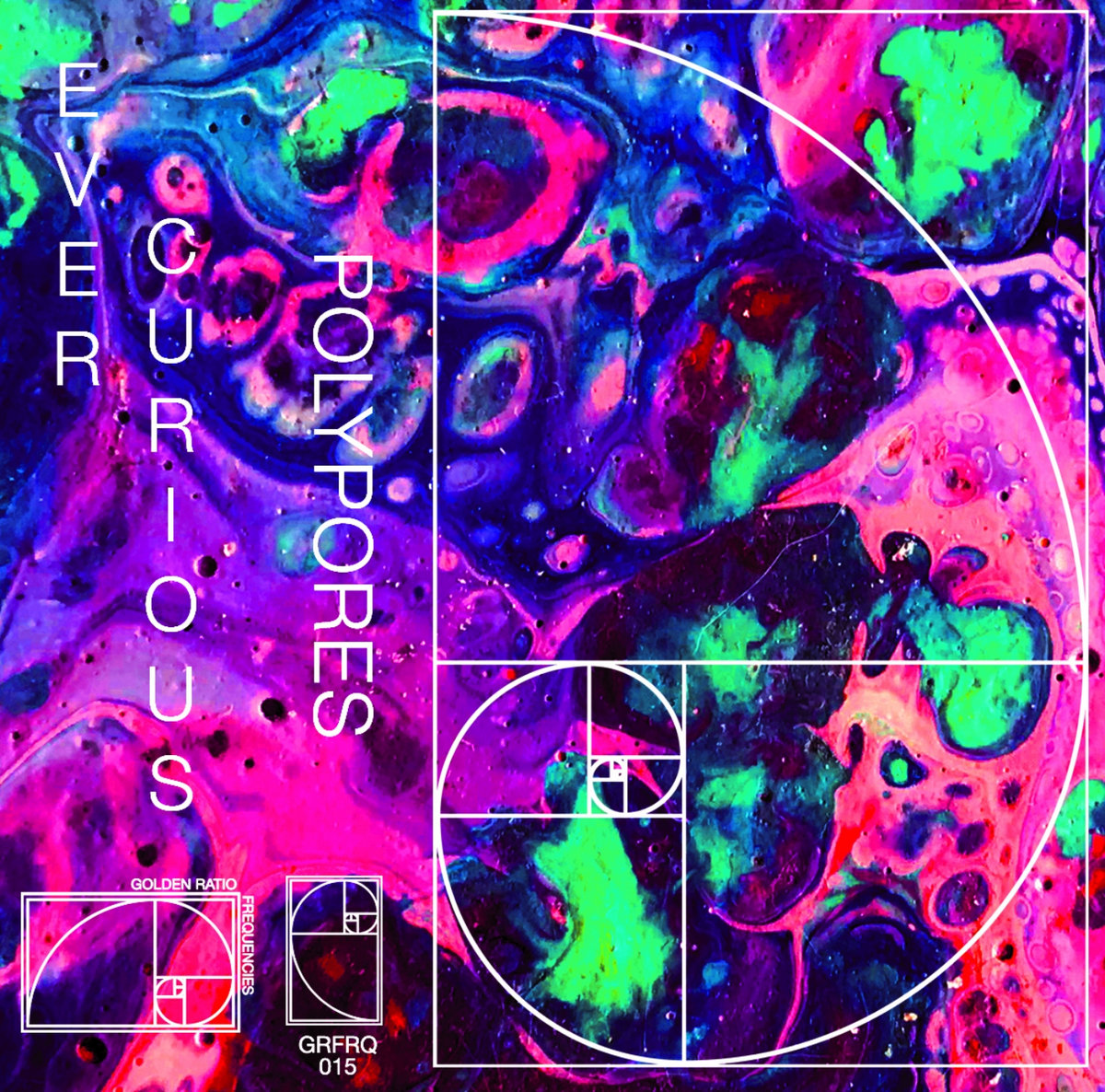 Ever Curious cover art