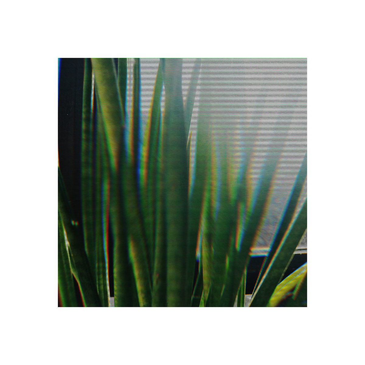 Universe B cover art