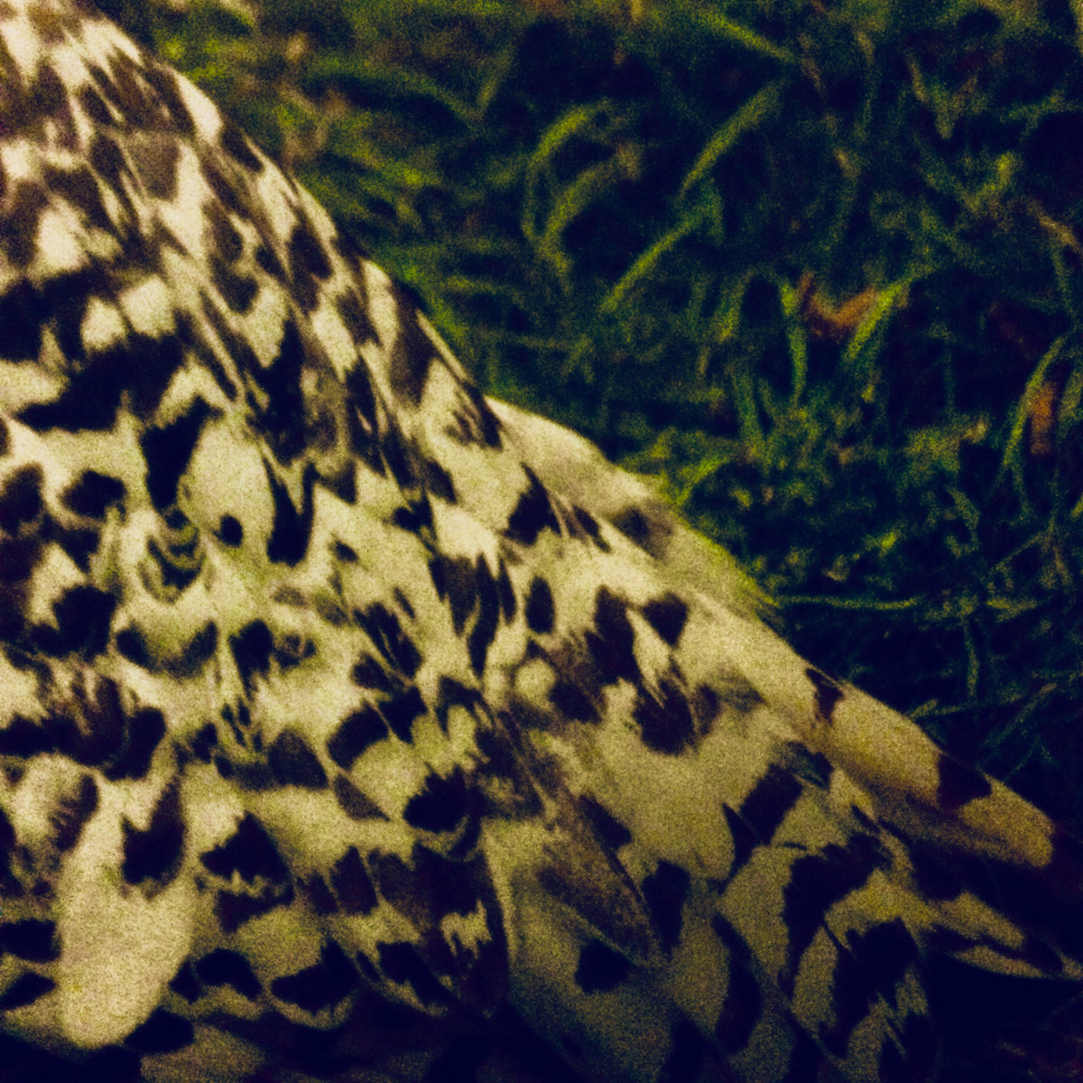 Girl-Bird-Ghost EP cover art