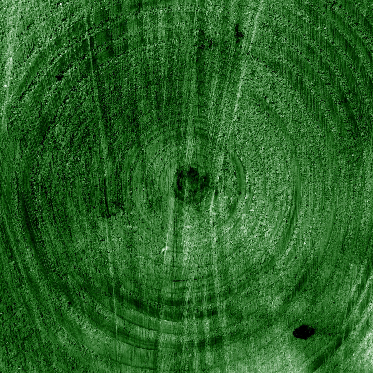 Sacred Drift cover art