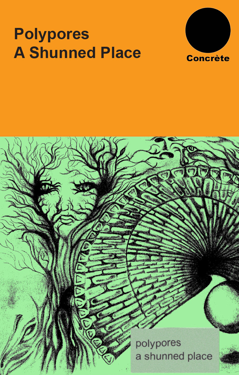 A Shunned Place cover art