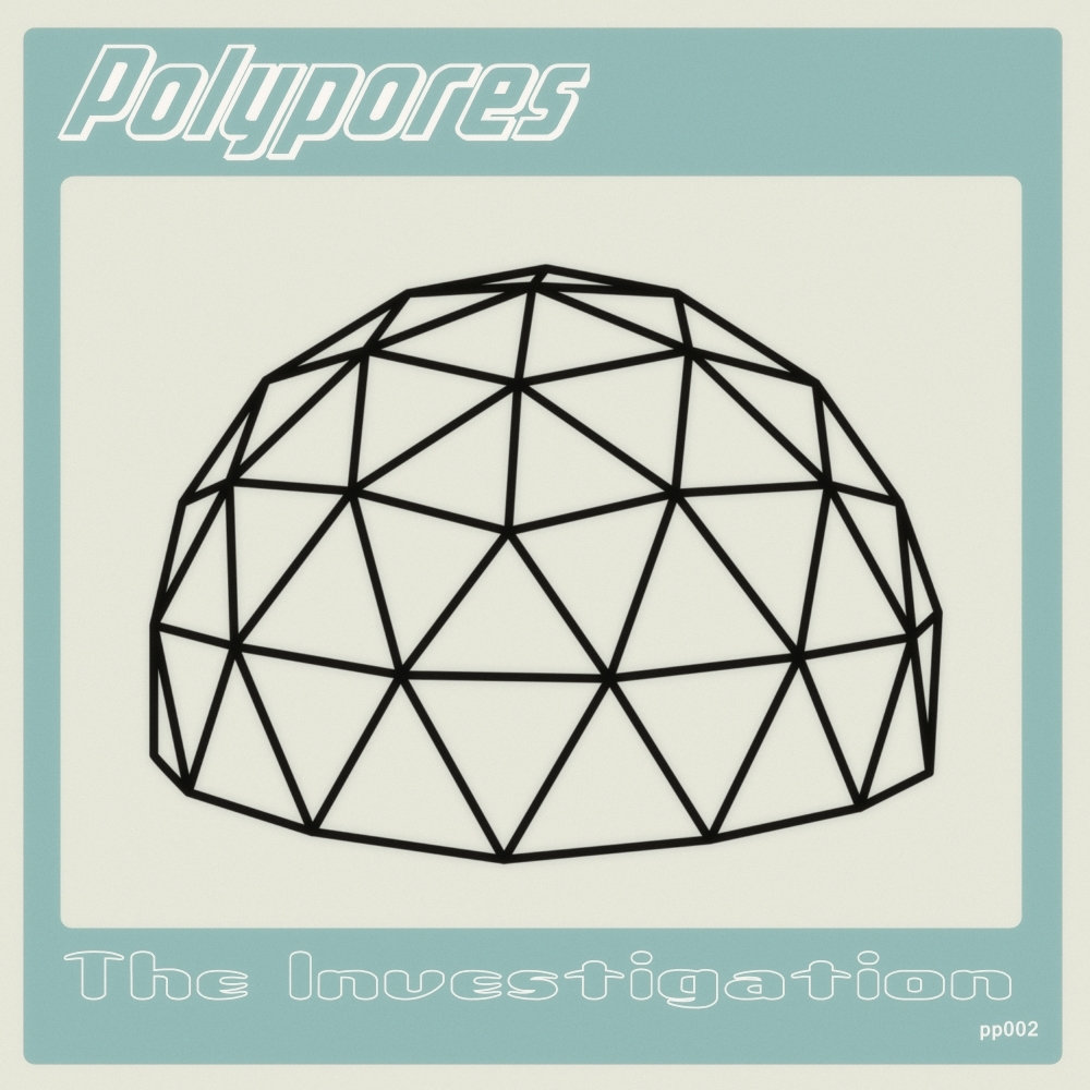 The Investigation cover art