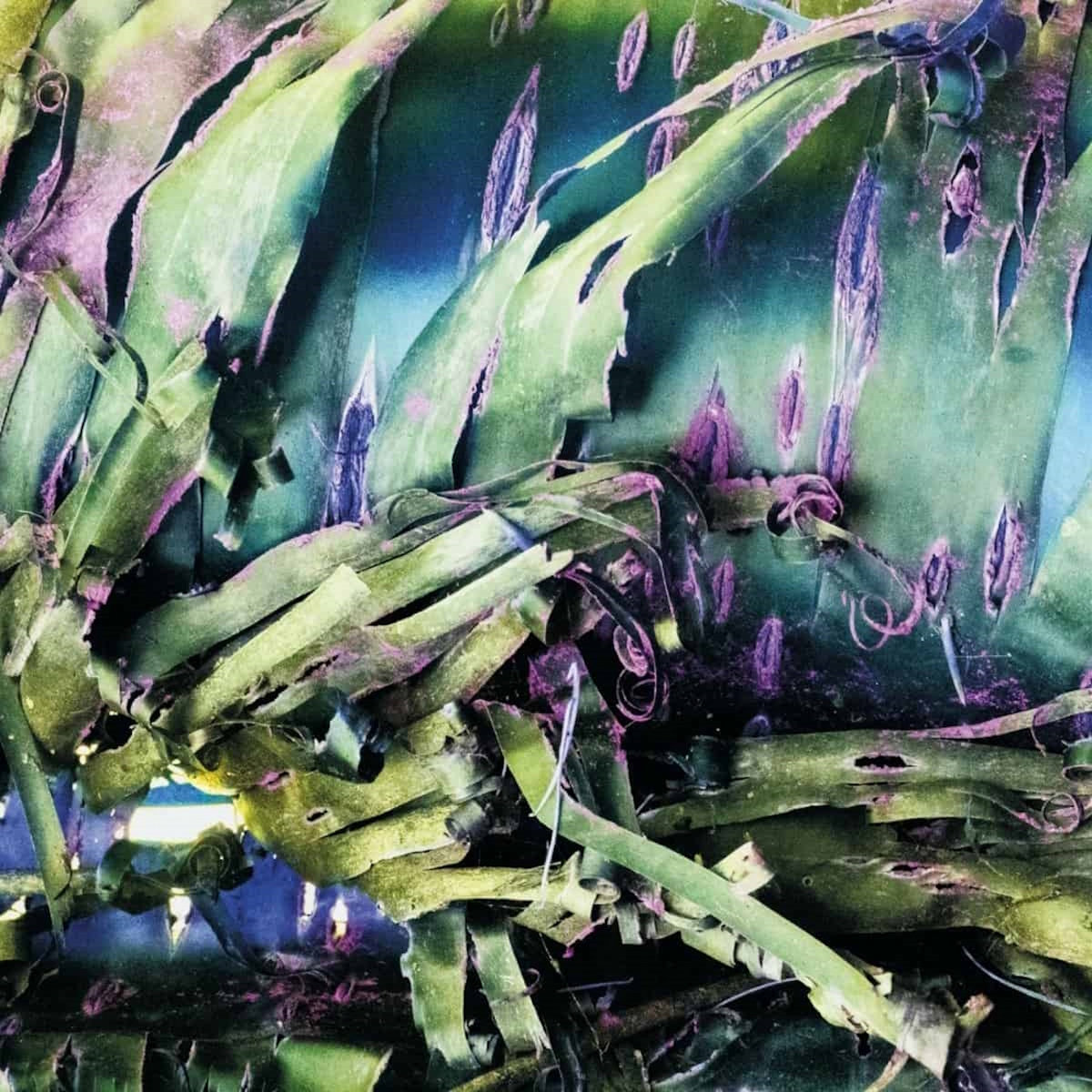 Multizonal Mindscramble cover art