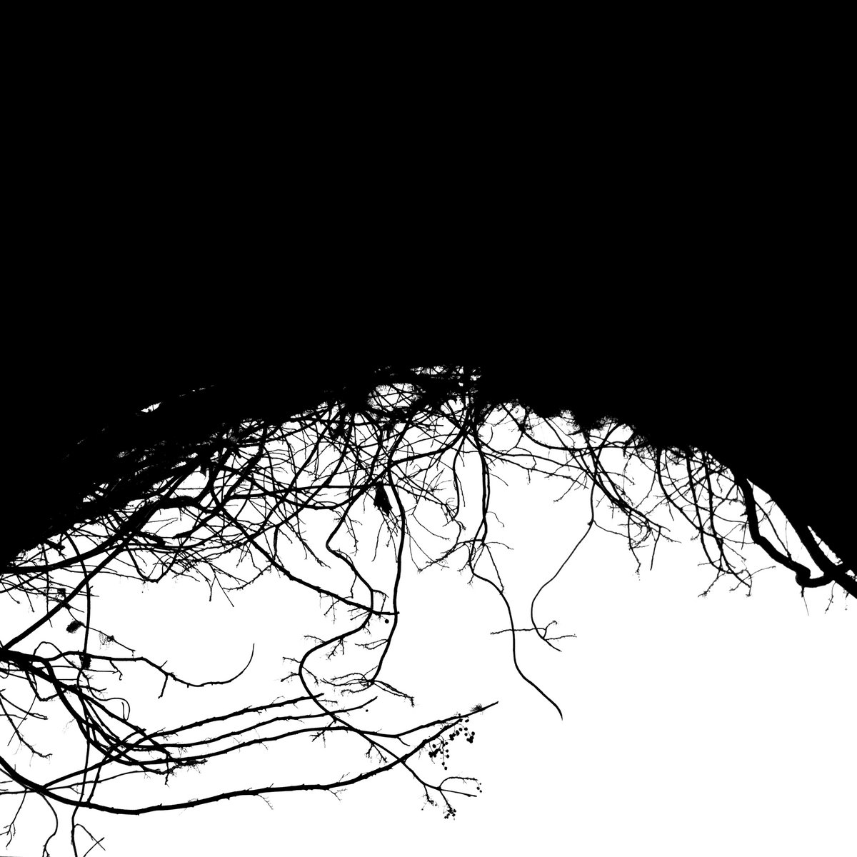 Variable Dimensions cover