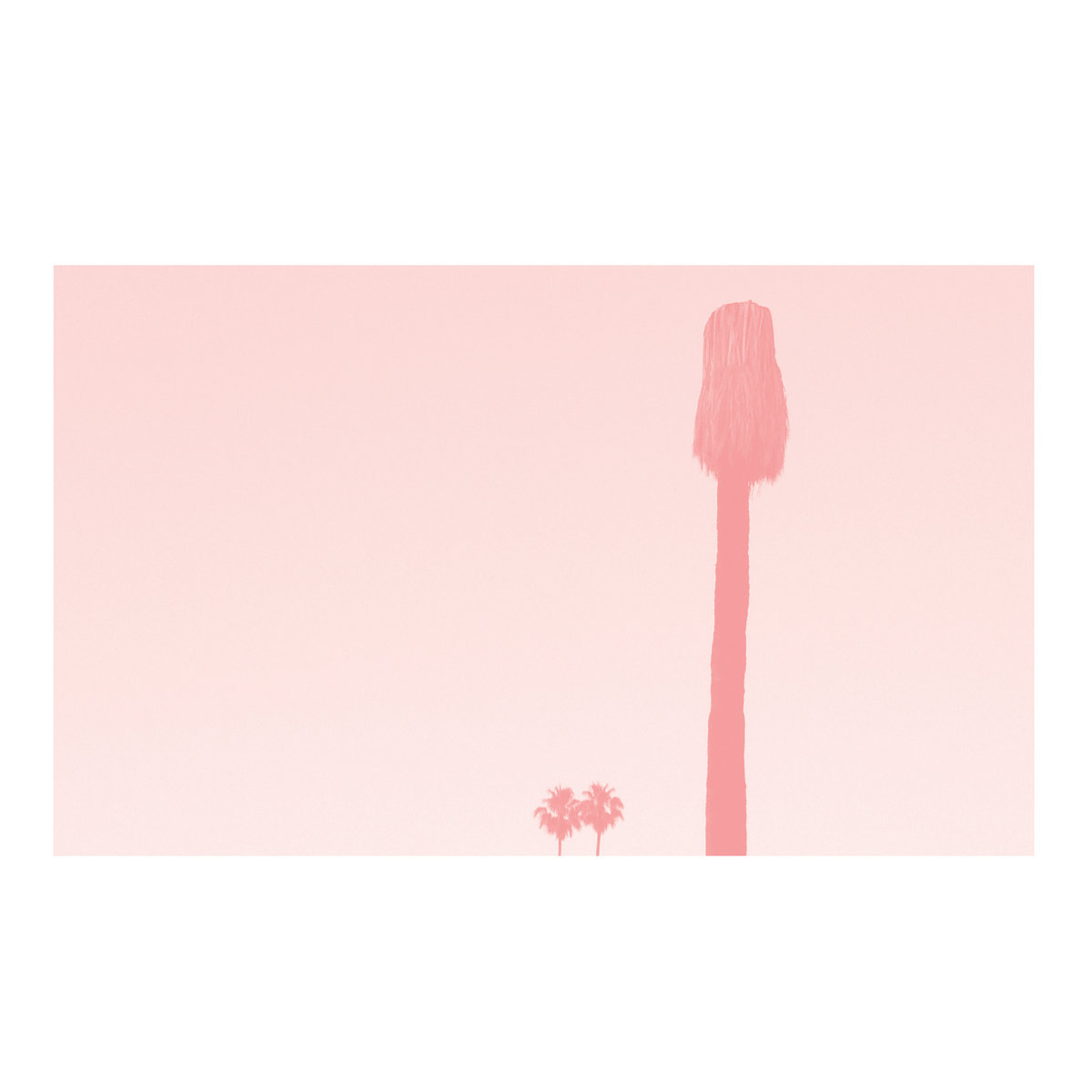 A Ravishment of Mirror (expanded) cover