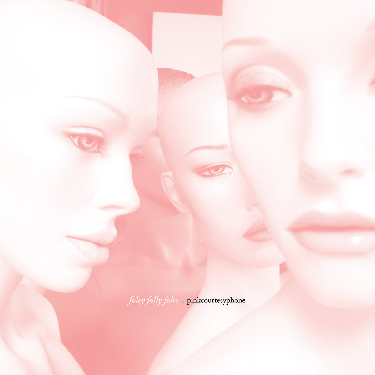 Foley Folly Folio cover