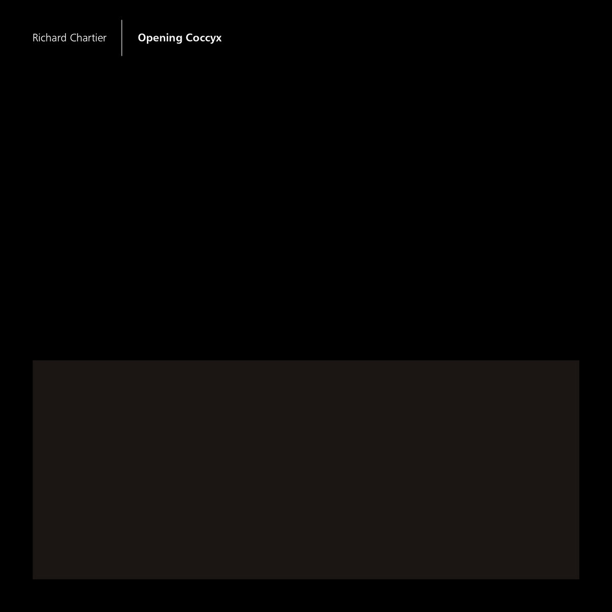 Opening Coccyx cover