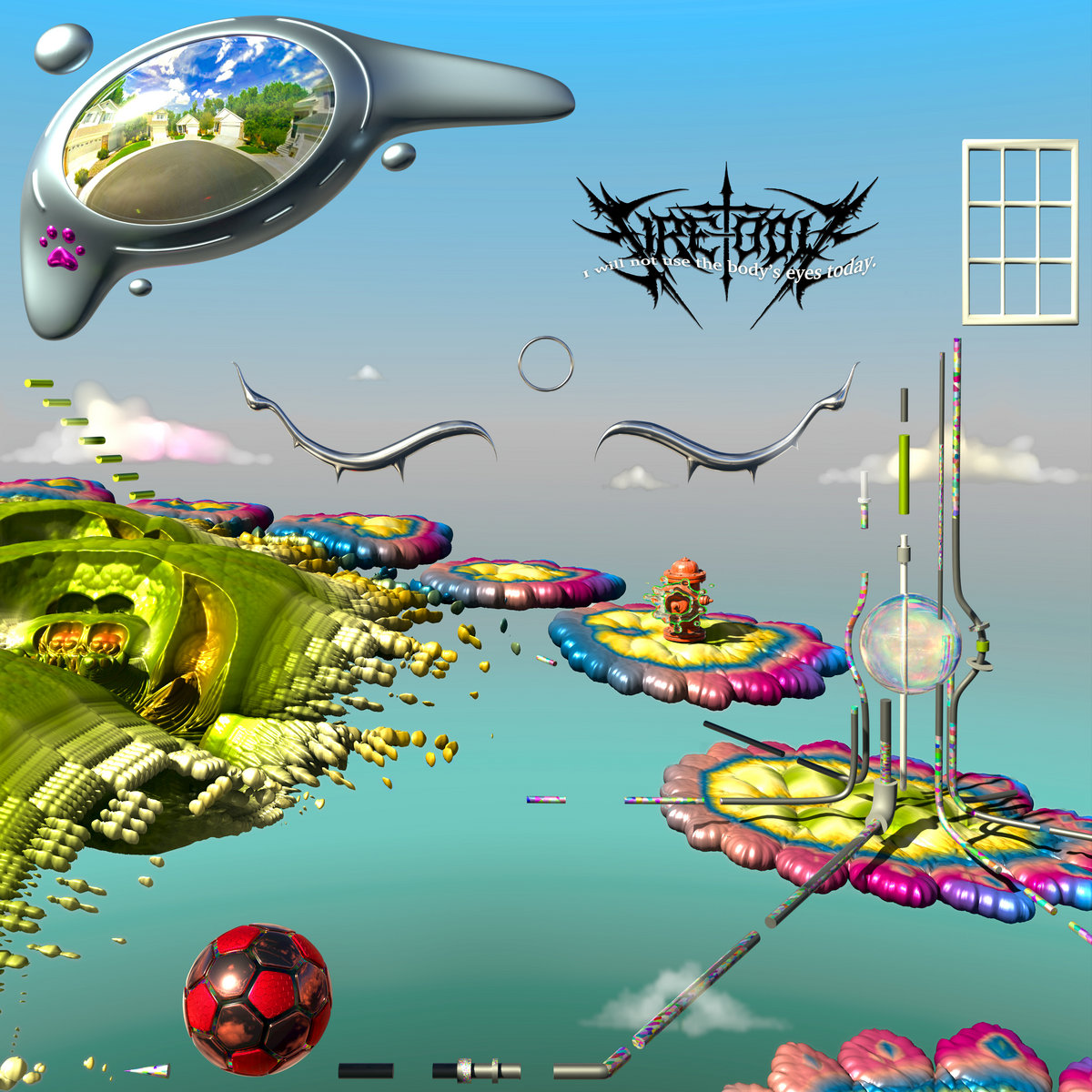 I will not use the body's eyes today. cover art