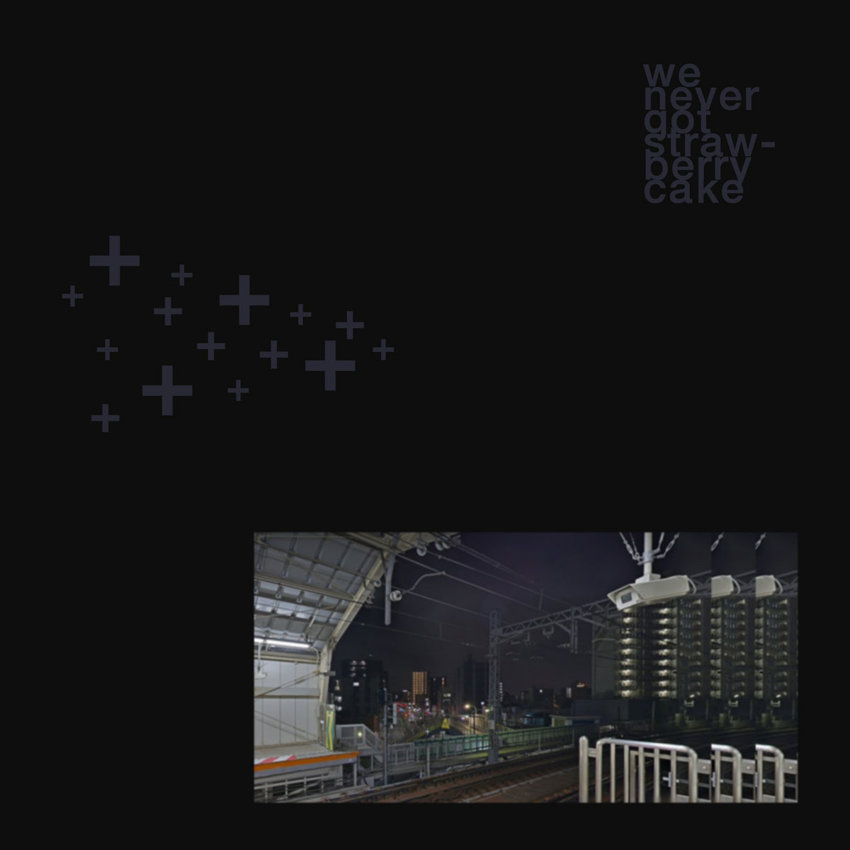 we never got strawberry cake cover