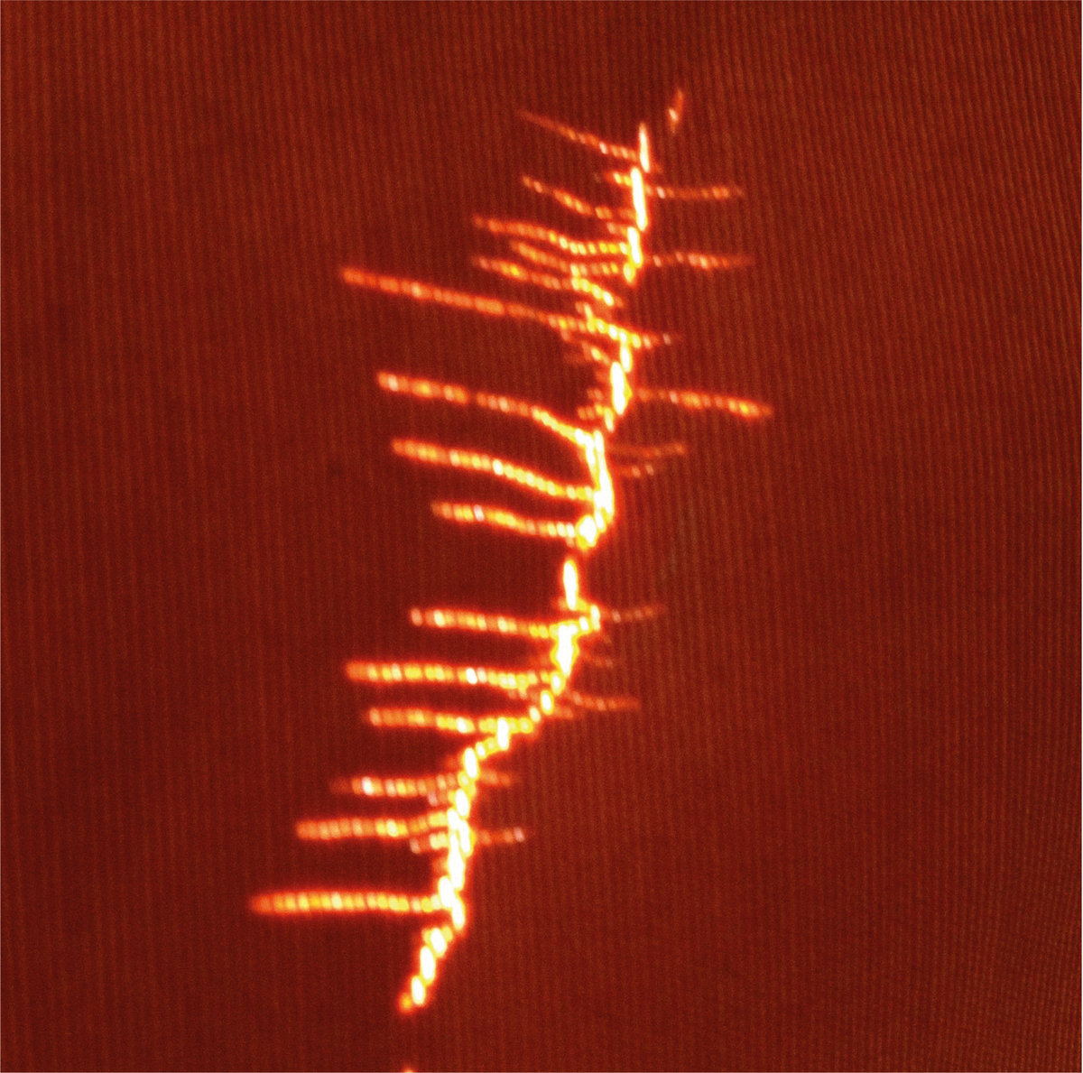 Fire, Adrian Sherwood Live Mix cover