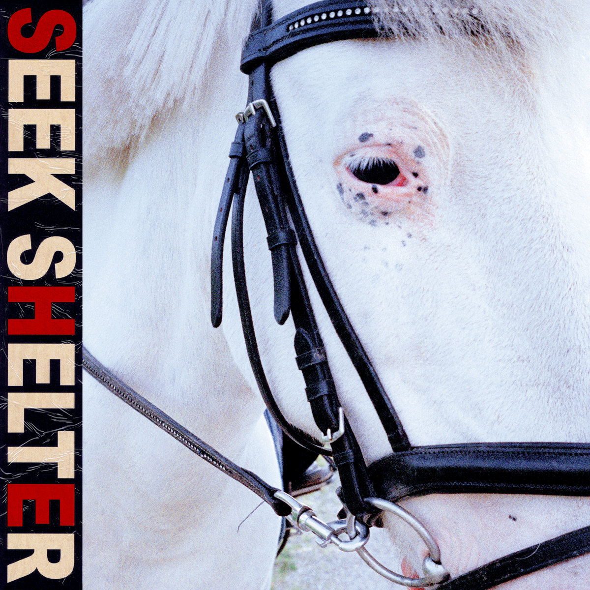 Seek Shelter (Special Edition) cover art