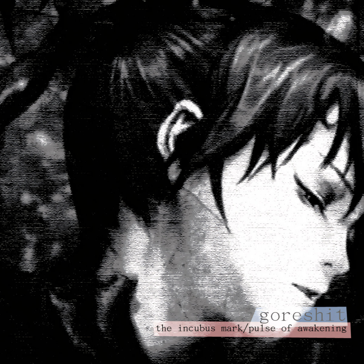 the incubus mark/pulse of awakening cover art