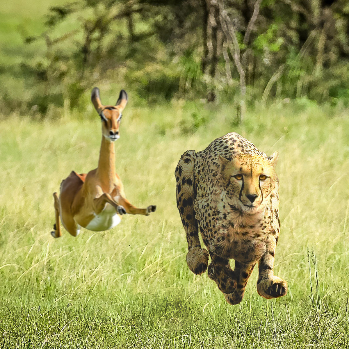 No More Lies cover art