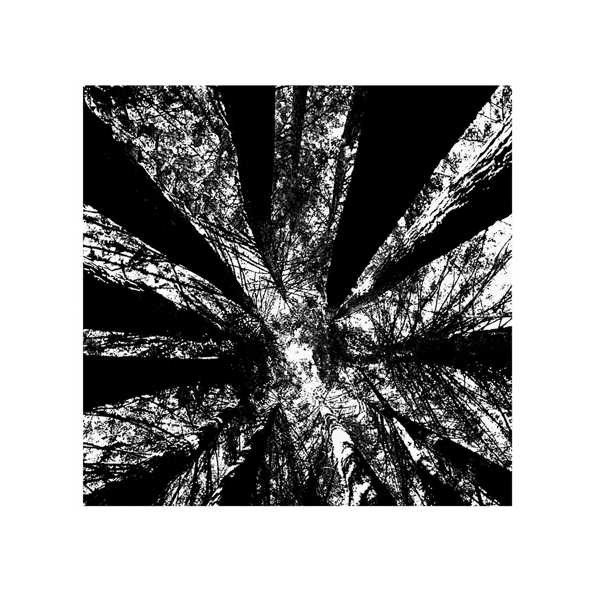 青木ヶ原 // 樹海 cover