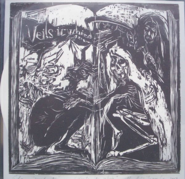 Veils It White cover