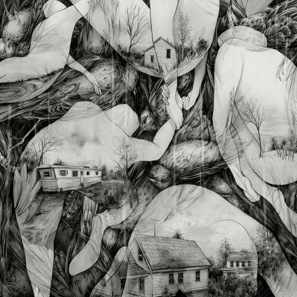 Rays of Darkness cover