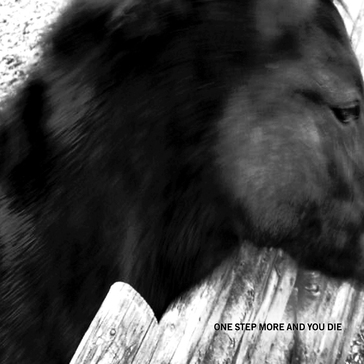 One Step More and You Die cover