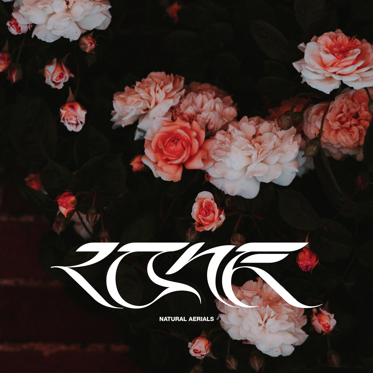 Natural Aerials (SHERELLE Remix) cover