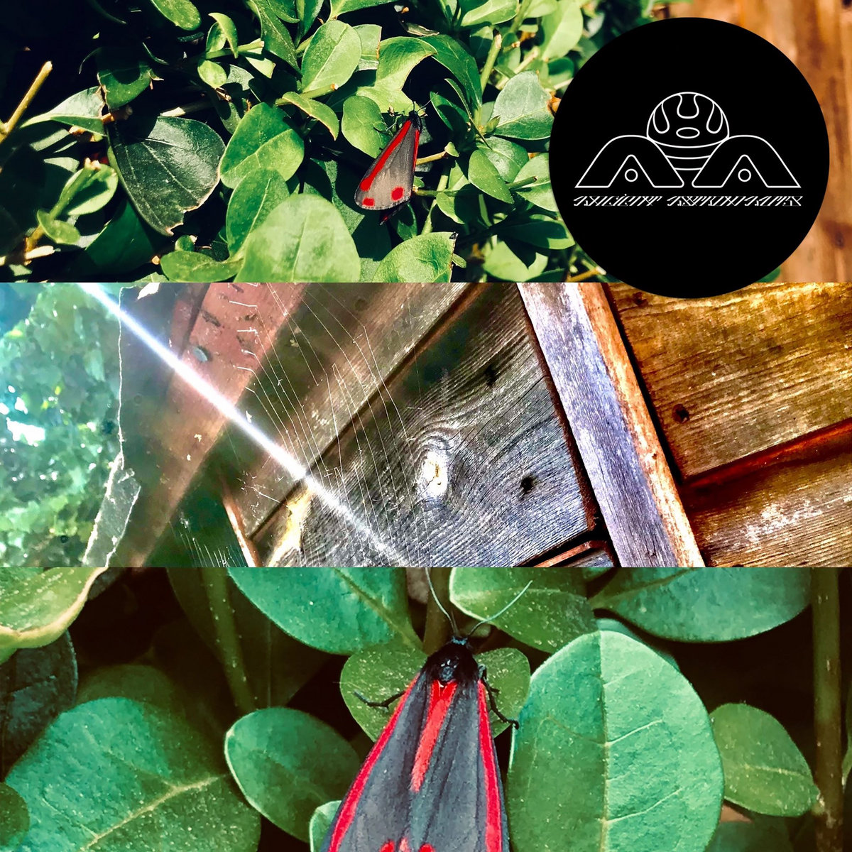 Greenhills Road Archive Traks Volume Two cover