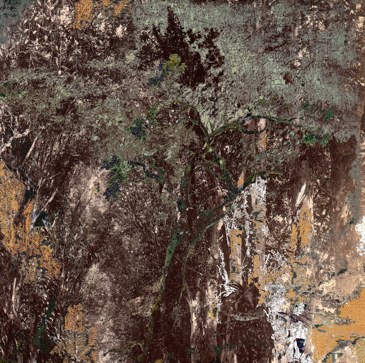 The Dirt, The Dancing cover art