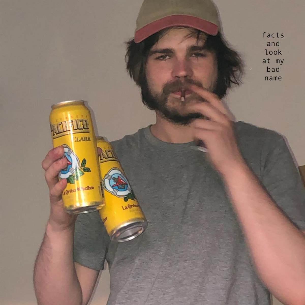Facts and Look at My Bad Name cover art