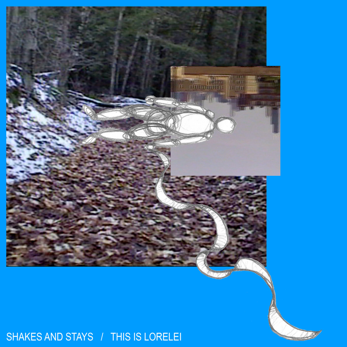 Shakes and Stays cover art