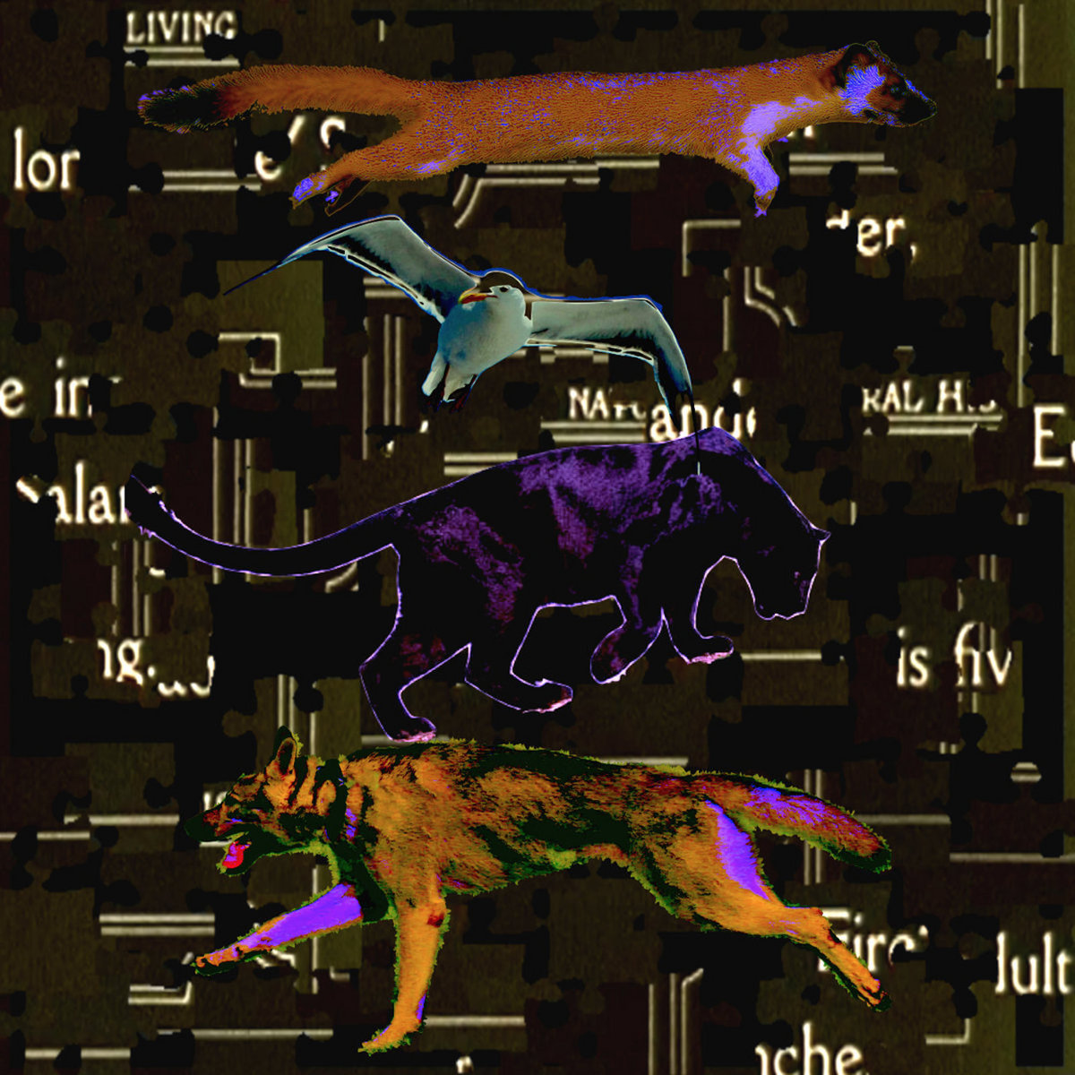 Wild To Be Born cover art