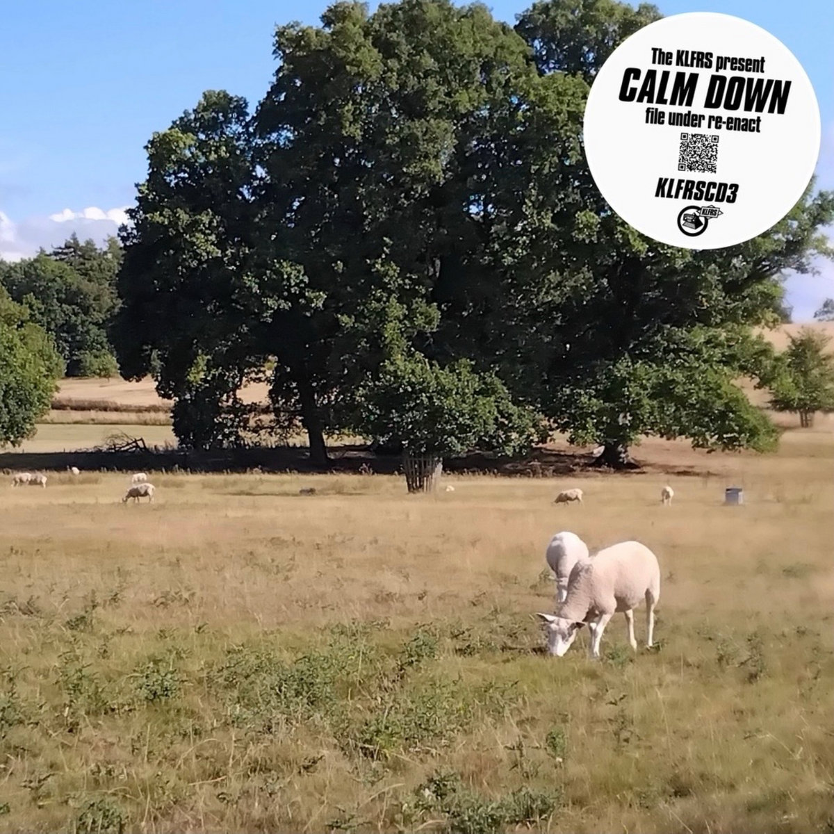 CALM DOWN cover art