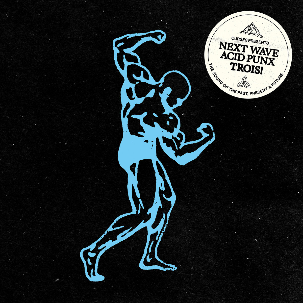 Next Wave Acid Punx TROIS cover art