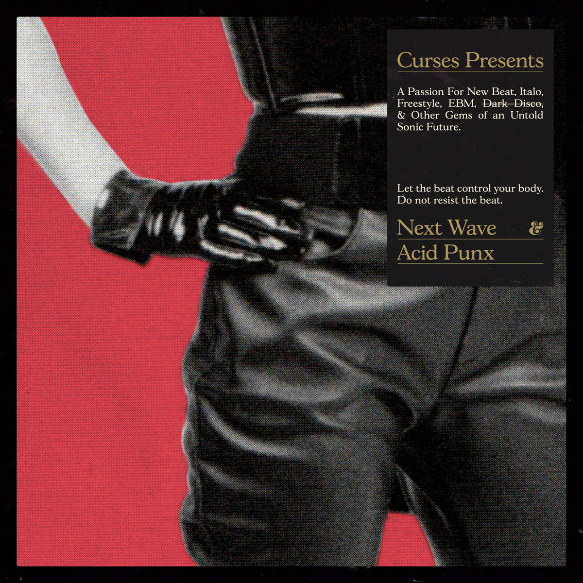 Next Wave Acid Punx cover art