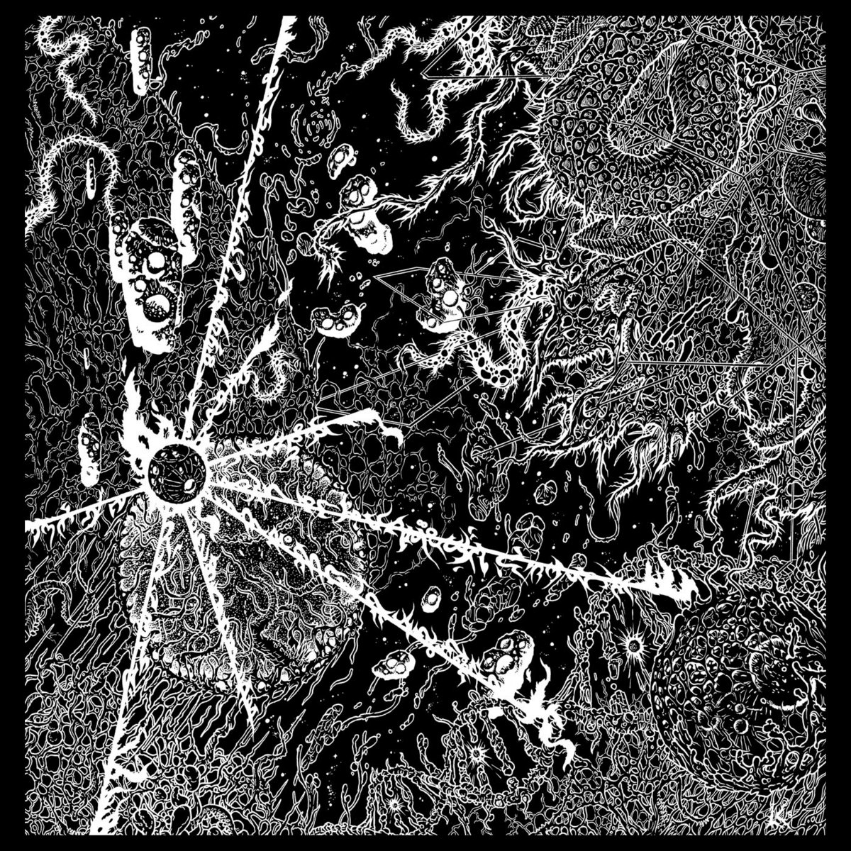 Live Vitrification cover art