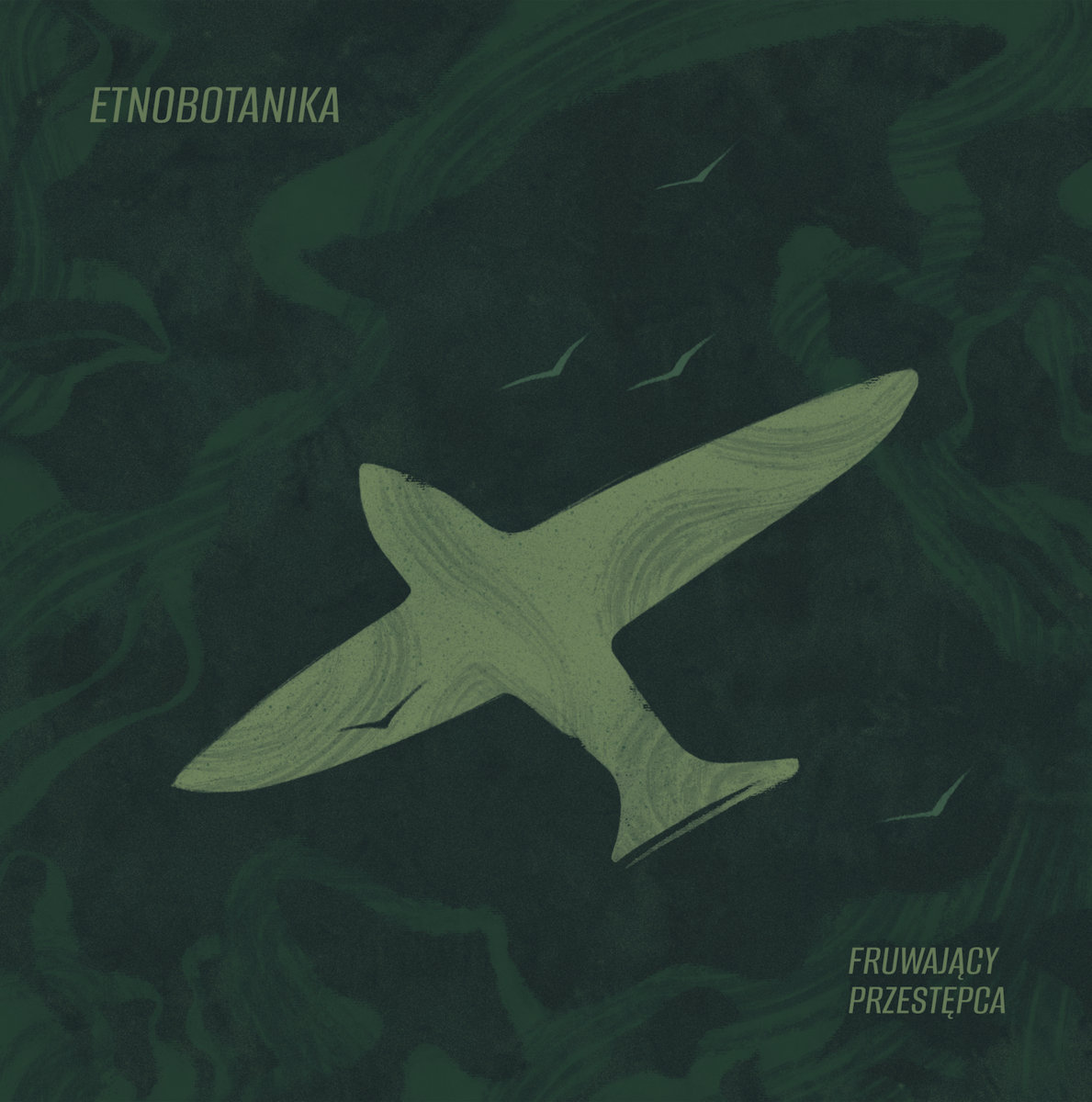 Fruwający Przestępca (Deluxe Edition) cover art