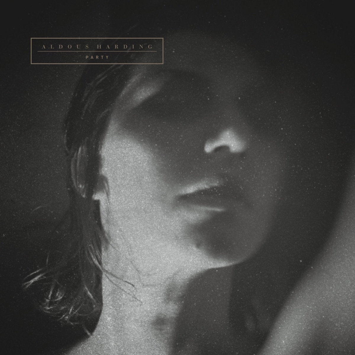 Party cover art