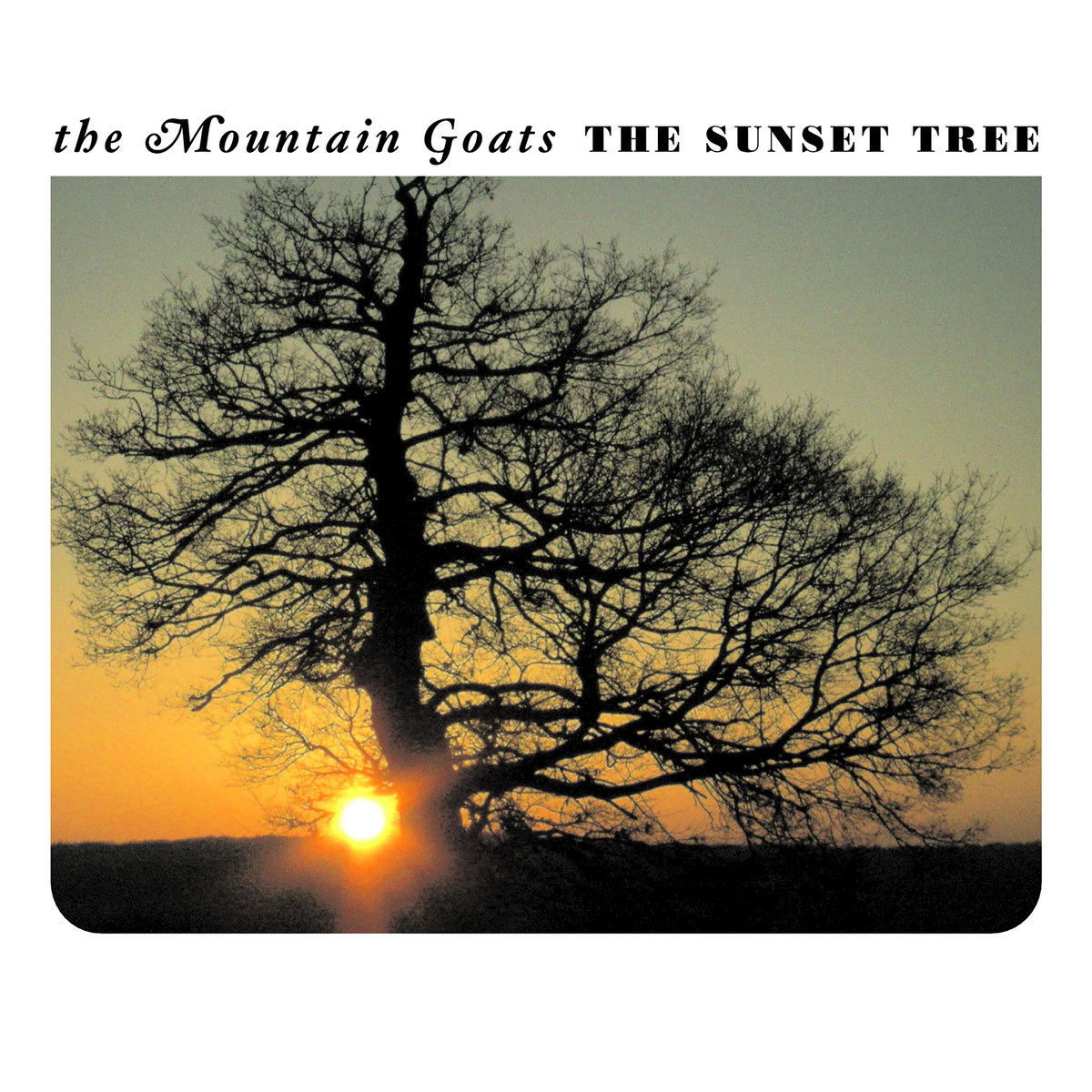 The Sunset Tree cover art