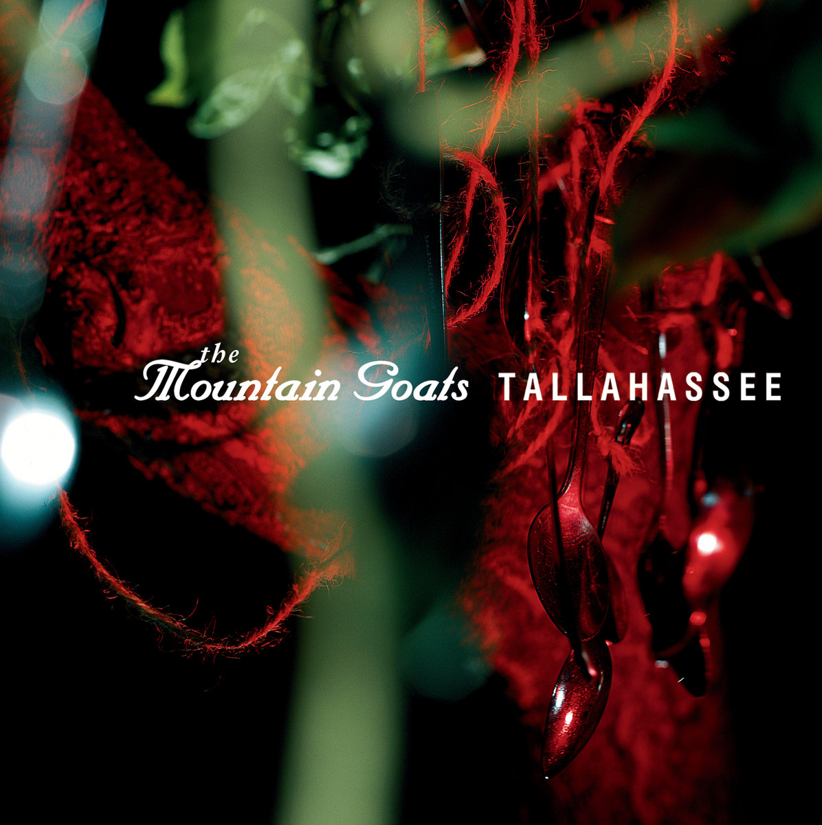 Tallahassee cover art